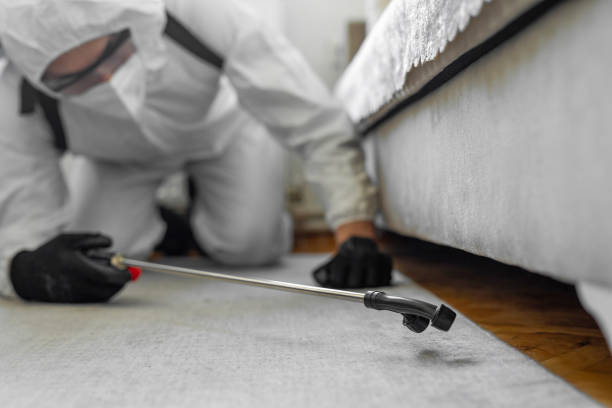 Professional Cockroach Control technician working in Rocky River, OH