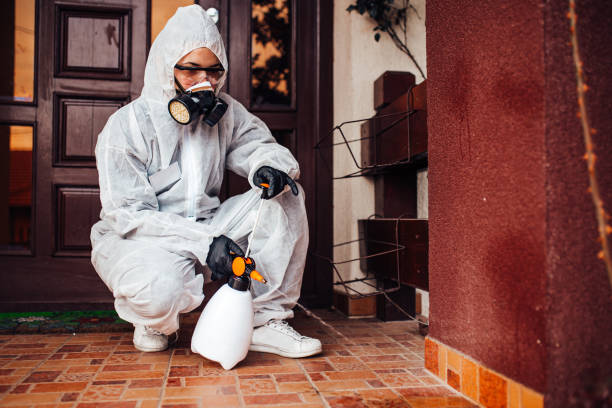Reliable Cockroach Control contractor in Rocky River, OH by Nex Pest Control